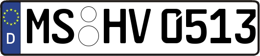MS-HV0513