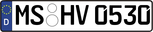 MS-HV0530