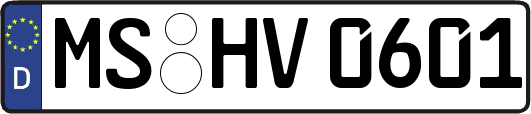 MS-HV0601