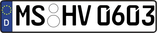 MS-HV0603