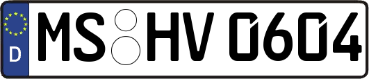 MS-HV0604