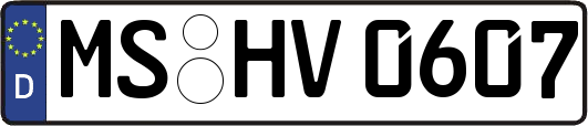 MS-HV0607