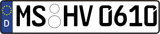 MS-HV0610