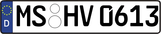 MS-HV0613