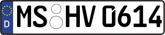 MS-HV0614
