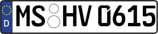 MS-HV0615
