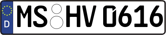 MS-HV0616