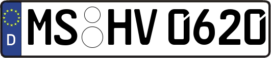 MS-HV0620