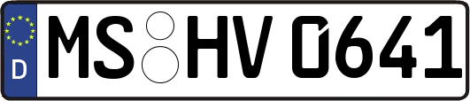 MS-HV0641