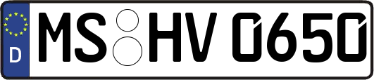 MS-HV0650
