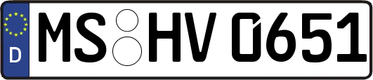 MS-HV0651