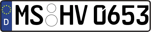 MS-HV0653