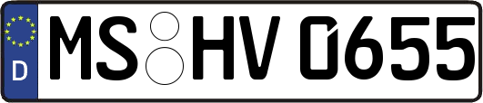 MS-HV0655