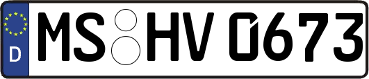 MS-HV0673