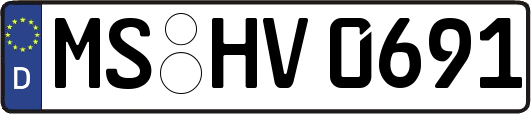 MS-HV0691