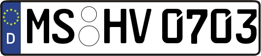 MS-HV0703