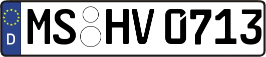 MS-HV0713