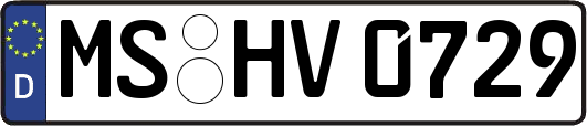 MS-HV0729