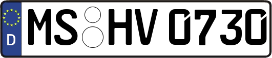MS-HV0730