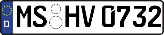 MS-HV0732