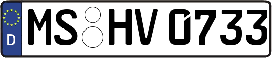 MS-HV0733