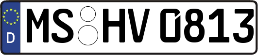 MS-HV0813