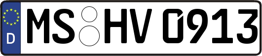 MS-HV0913