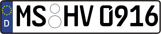 MS-HV0916
