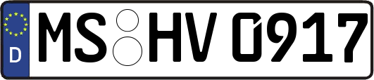 MS-HV0917