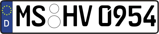 MS-HV0954