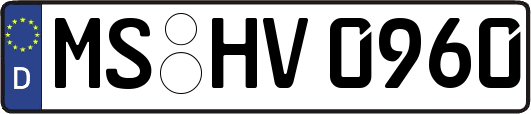 MS-HV0960