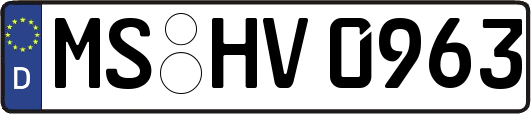 MS-HV0963