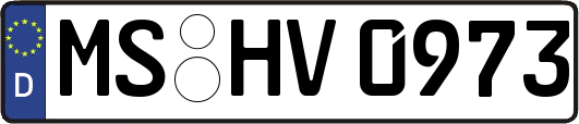 MS-HV0973