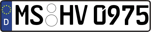 MS-HV0975