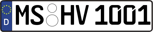 MS-HV1001