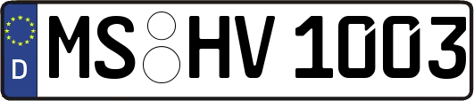 MS-HV1003