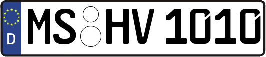 MS-HV1010