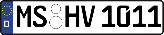 MS-HV1011