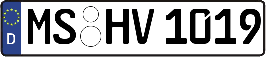 MS-HV1019