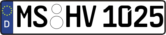 MS-HV1025