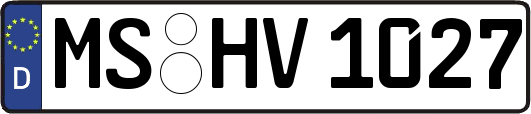 MS-HV1027