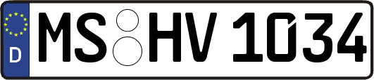MS-HV1034