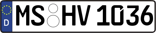 MS-HV1036