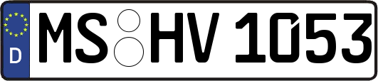 MS-HV1053