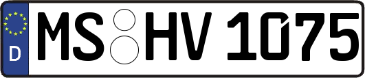 MS-HV1075