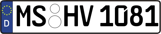 MS-HV1081