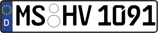 MS-HV1091