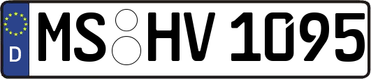 MS-HV1095