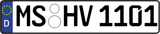 MS-HV1101
