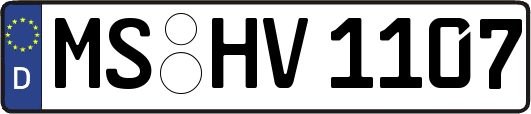 MS-HV1107